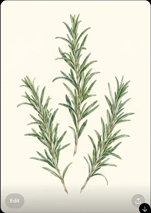 Botanical wall art without a drawn frame.